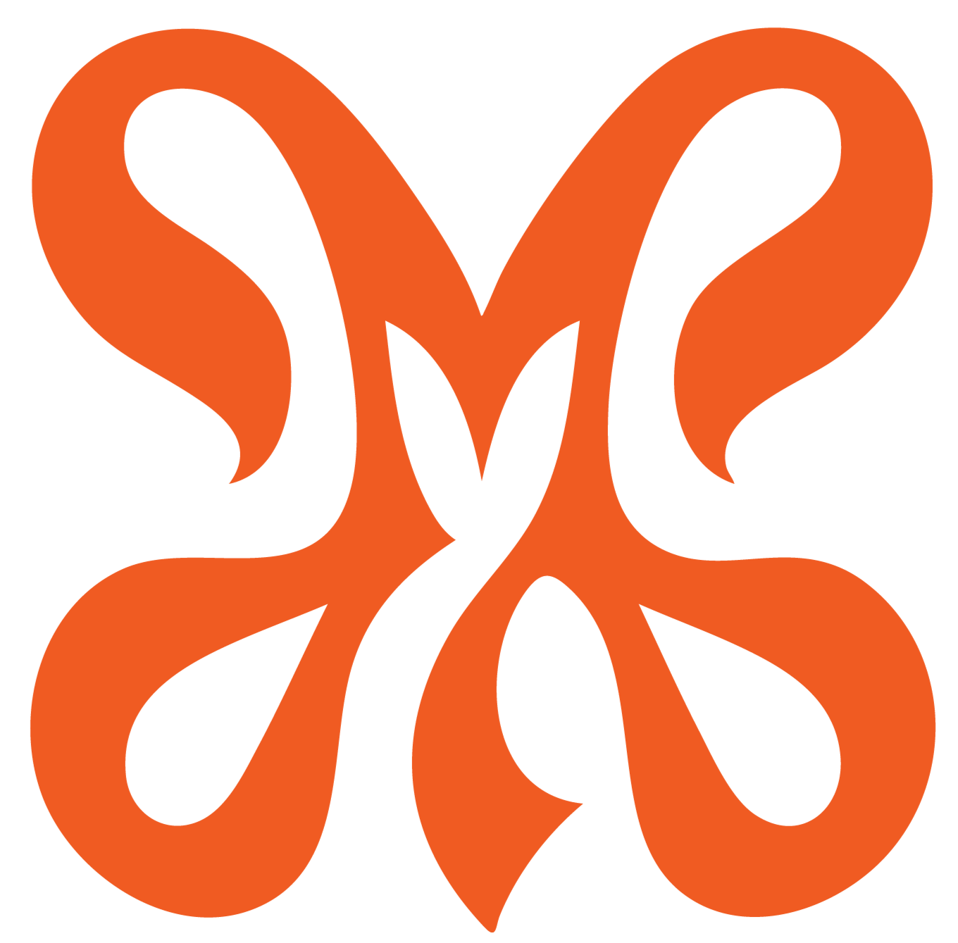 THE LFM CONCEPT